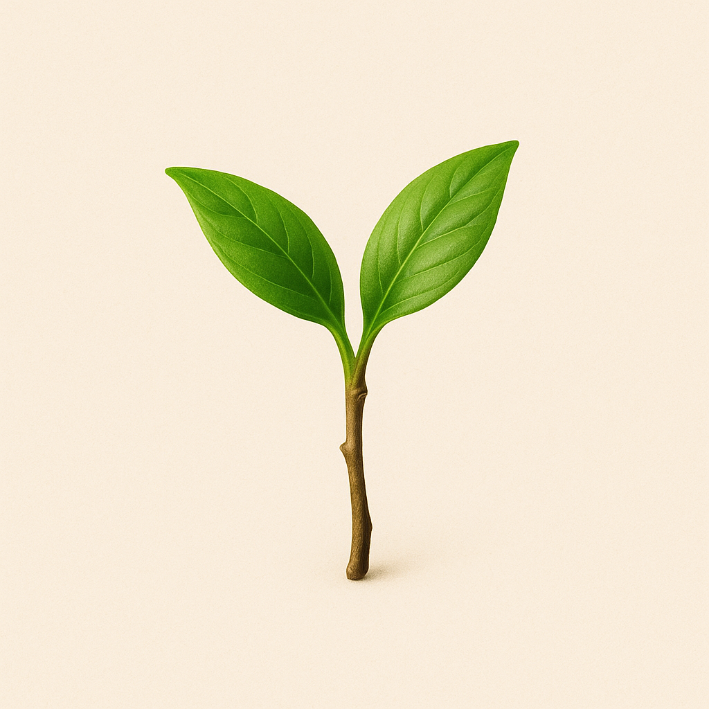 Emoji Realista Verde_simple_compose_Grimorio de Gaia